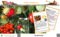 Preview: Tomate * Herztomate rot * 20 Samen